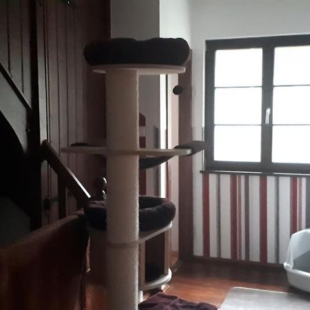 Private Room In Our Home With Free Vvo Ticket & Cats بيرنا المظهر الخارجي الصورة