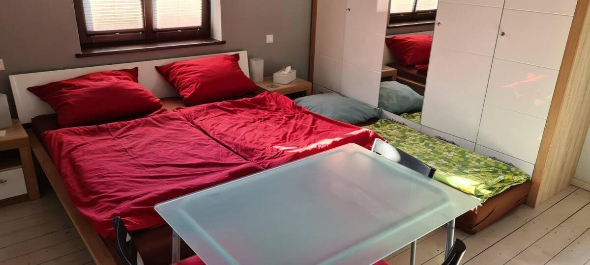 Private Room In Our Home With Free Vvo Ticket & Cats بيرنا المظهر الخارجي الصورة