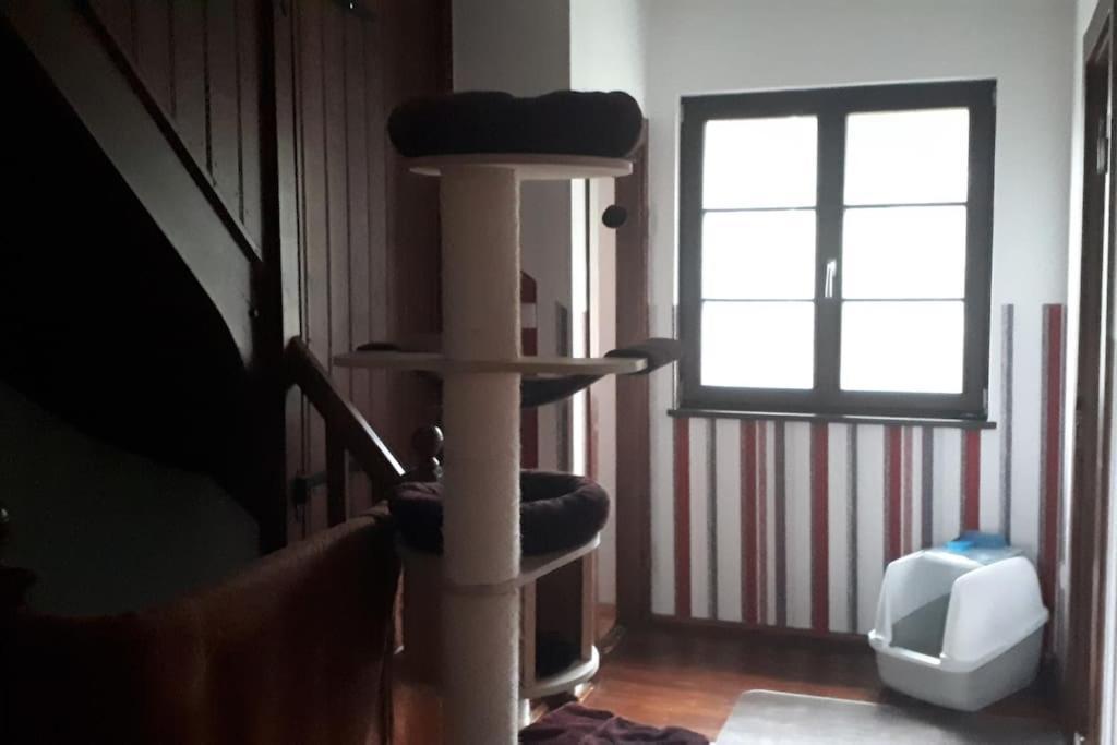 Private Room In Our Home With Free Vvo Ticket & Cats بيرنا المظهر الخارجي الصورة
