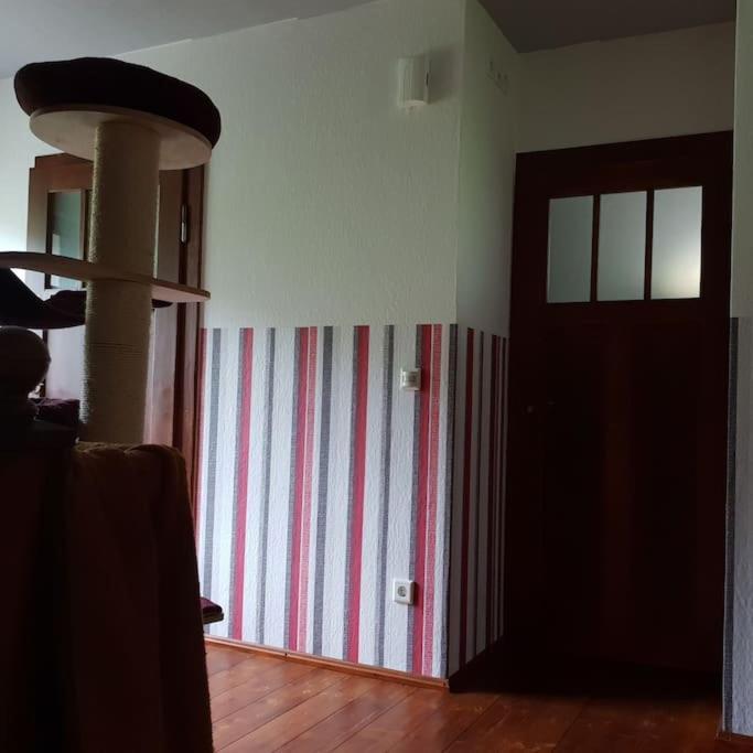 Private Room In Our Home With Free Vvo Ticket & Cats بيرنا المظهر الخارجي الصورة