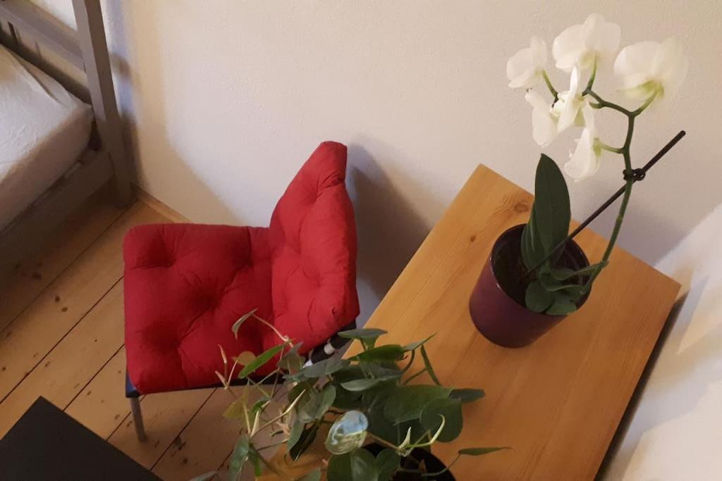 Private Room In Our Home With Free Vvo Ticket & Cats بيرنا المظهر الخارجي الصورة